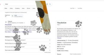 Weltkatzentag: Google's Easter-Egg feiert mit (Foto: Google)